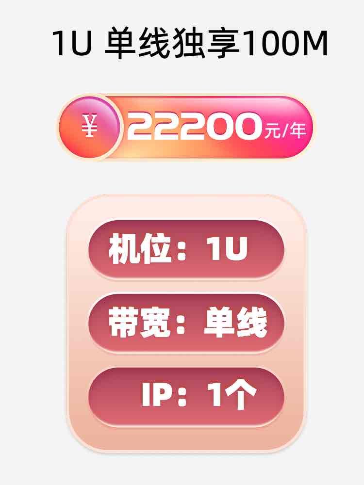 山东单线100M服务器托管价格